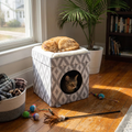 Cat Cube Furniture lifestyle image