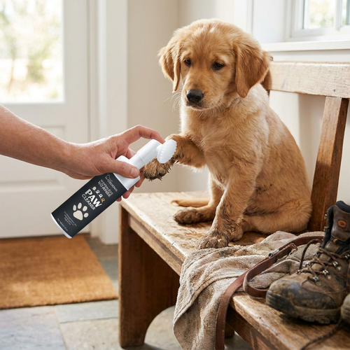 Paw Cleaner Foam lifestyle image